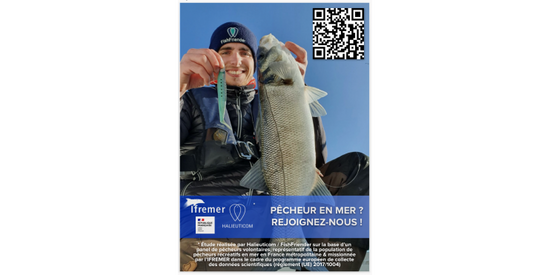 Take part in the national survey on recreational sea fishing